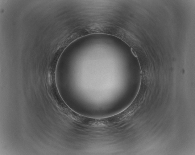 X0000073980751200608211254