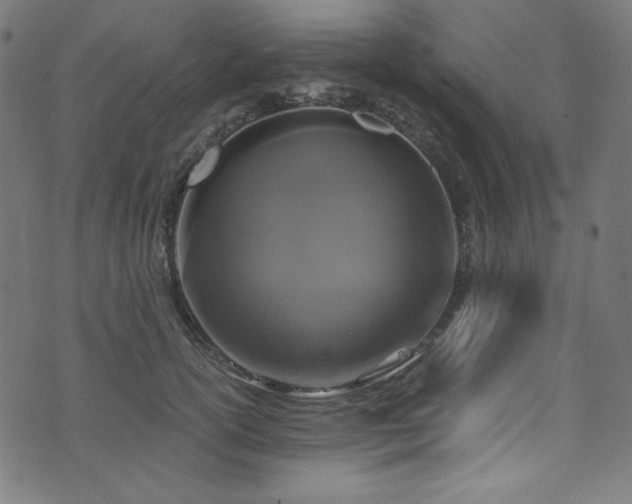 X0000073980754200608211254