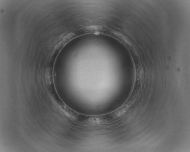 X0000073980764200608211255