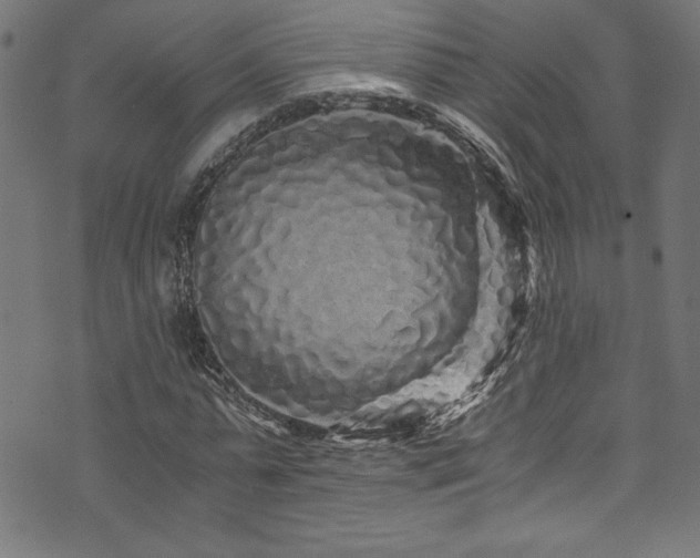 X0000073980775200608211254