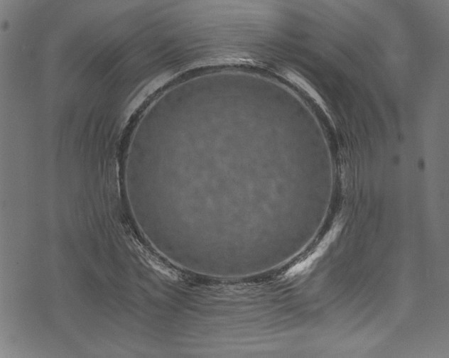 X0000073980781200608211254