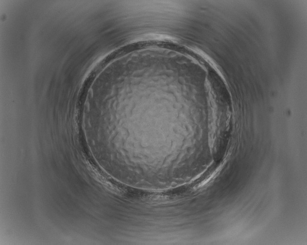 X0000073980783200608211254