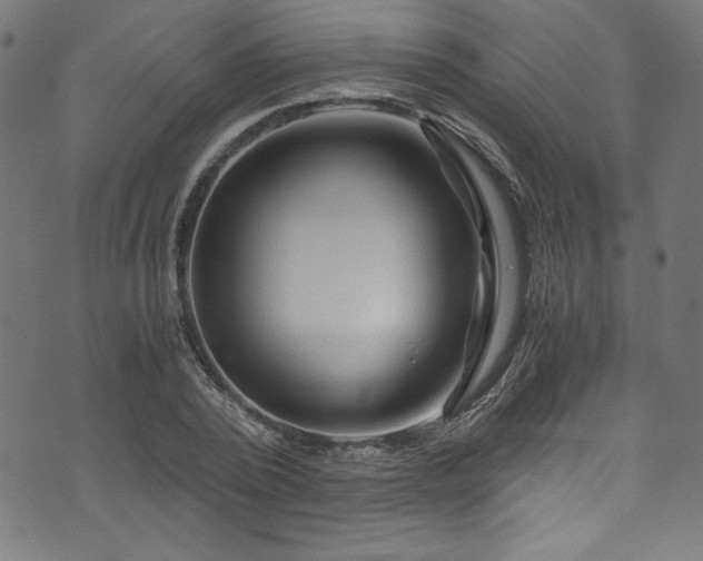 X0000073980784200608211254