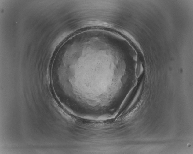 X0000073980791200608211253