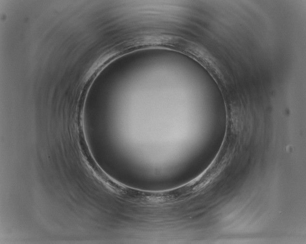 X0000073980794200608211253