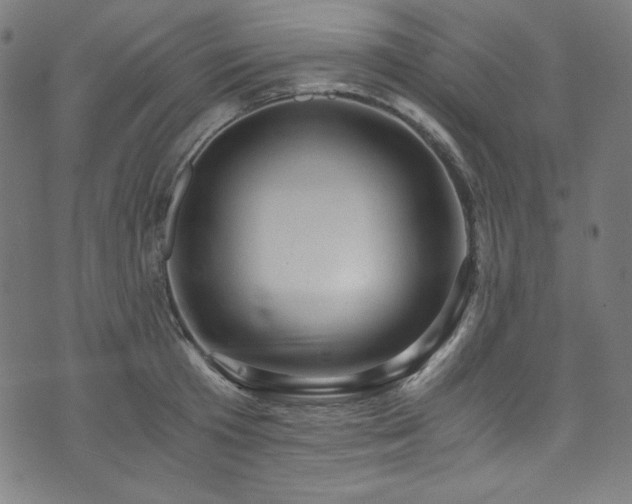 X0000073980801200608211253