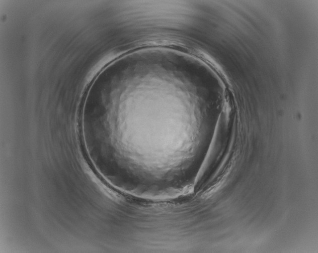 X0000073980803200608211253