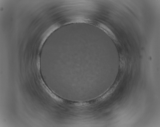 X0000073980804200608211253