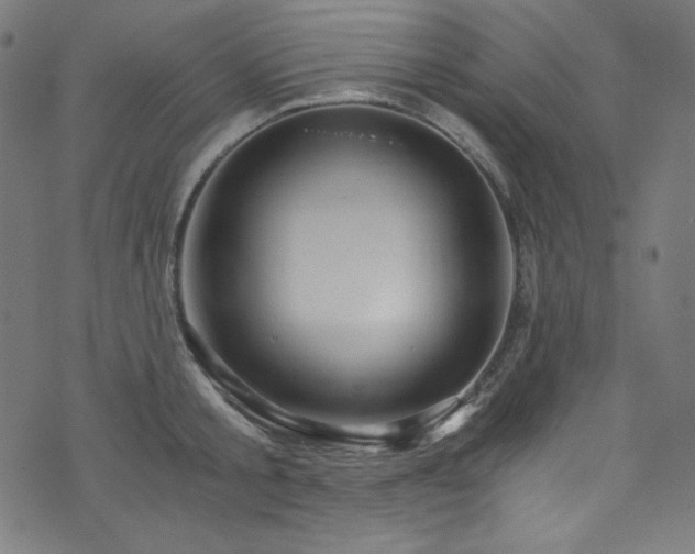 X0000073980805200608211253