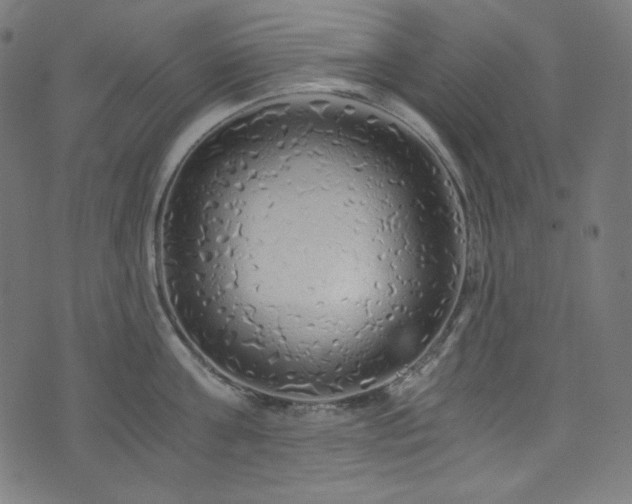 X0000073980811200608211253
