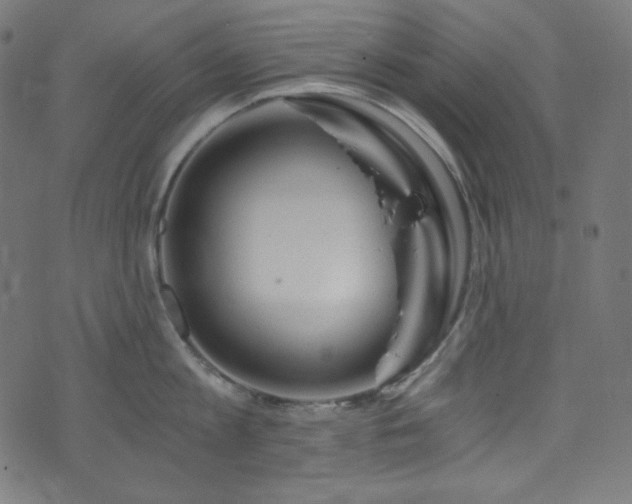 X0000073980813200608211253