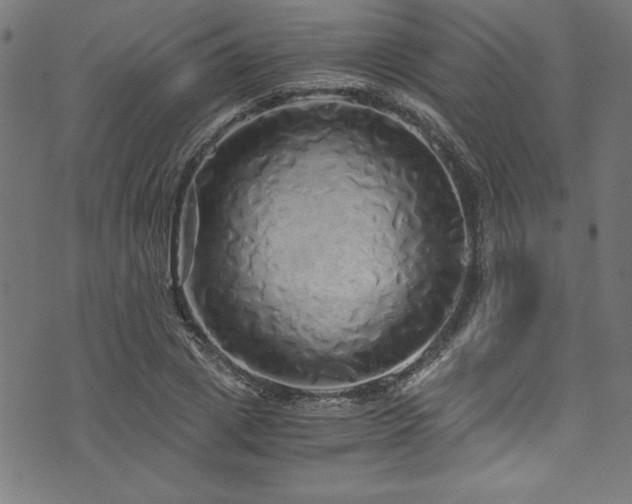 X0000073980833200608211253