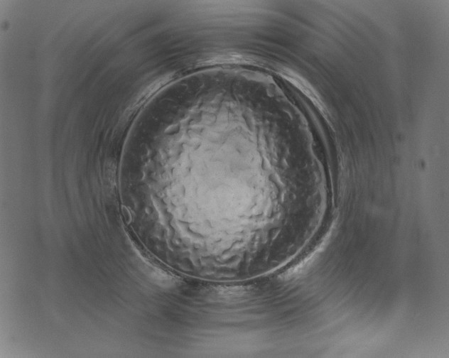 X0000073980849200608211253