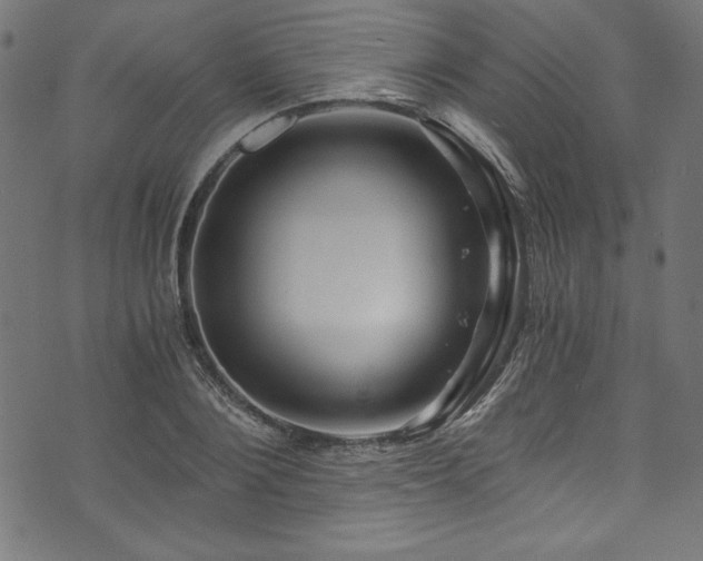X0000073980884200608211252