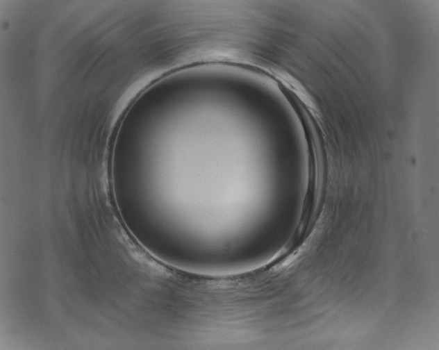 X0000073980904200608211252