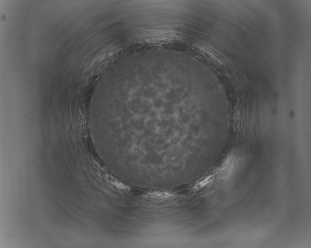 X0000073980917200608211251