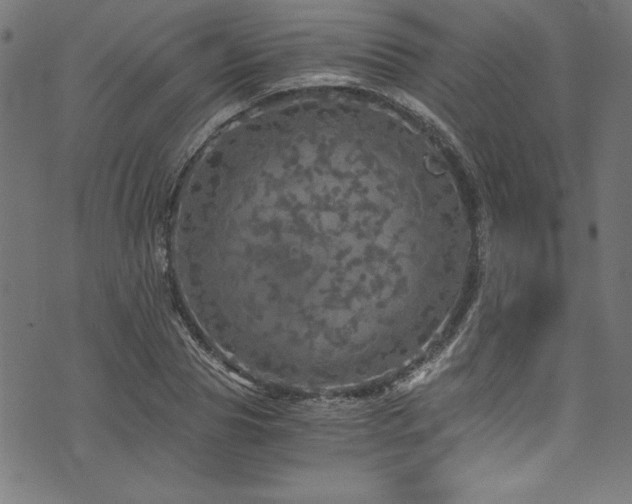 X0000073980929200608211251