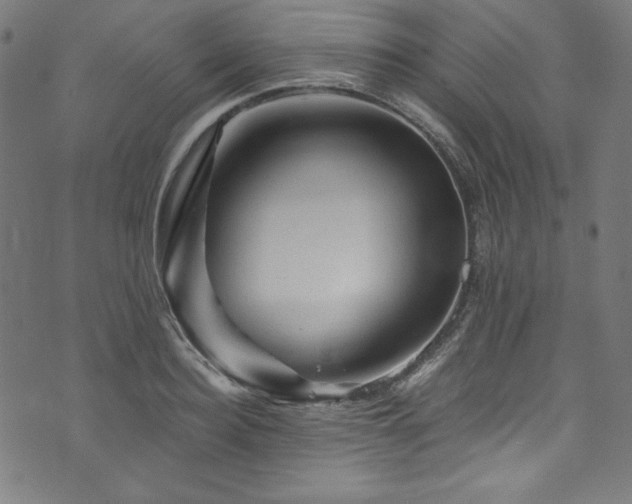 X0000073980940200608211251