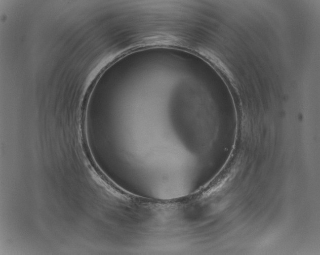 X0000073980941200608211251