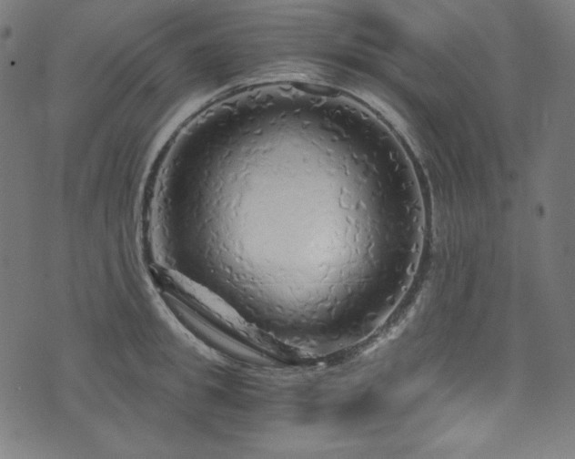 X0000073980949200608211251