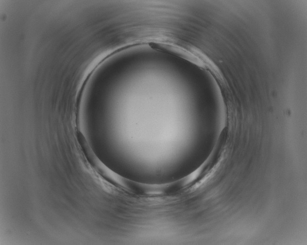 X0000073980956200608211251