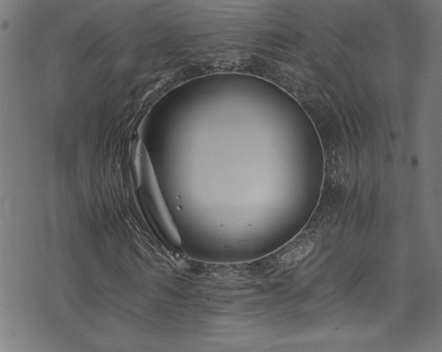 X0000073980962200608211251