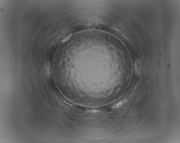 X0000073980963200608211251