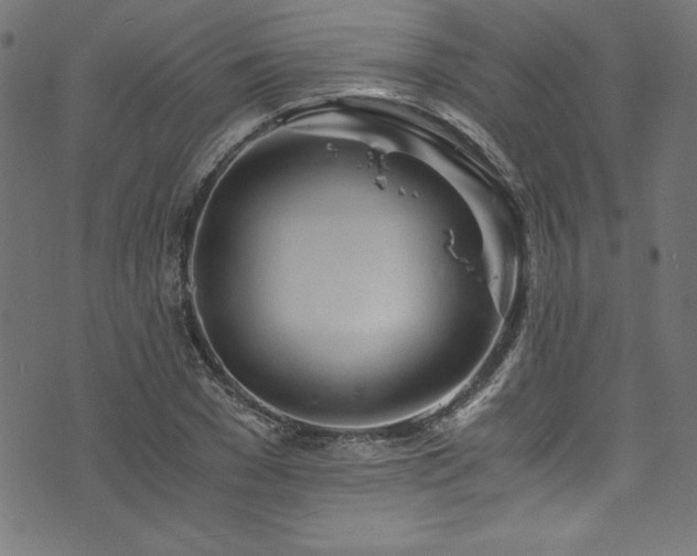 X0000073980977200608211250