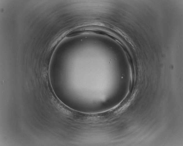 X0000073980985200608211250