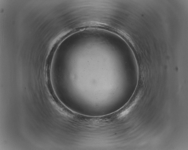 X0000073980987200608211250