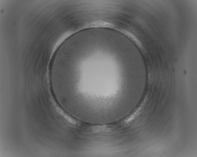 X0000073980990200608211250