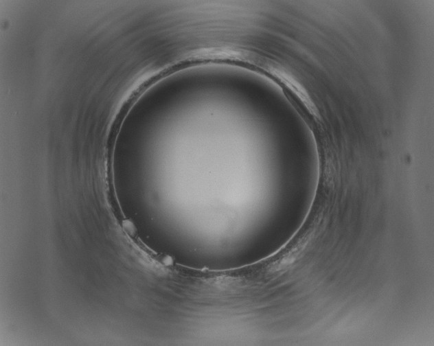 X0000073980992200608211250