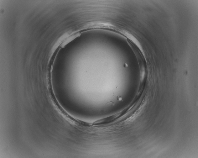 X0000073980997200608211250