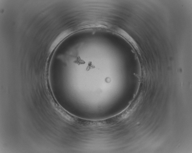 X0000073981002200608211250