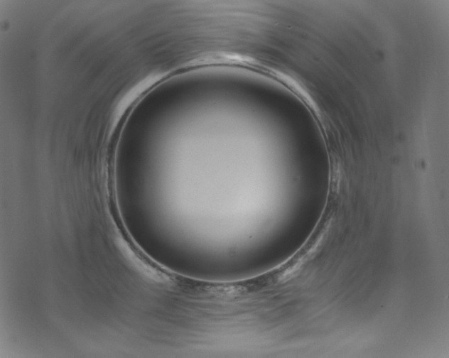 X0000073981003200608211250