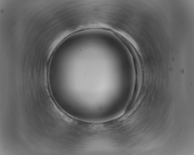 X0000073981006200608211250