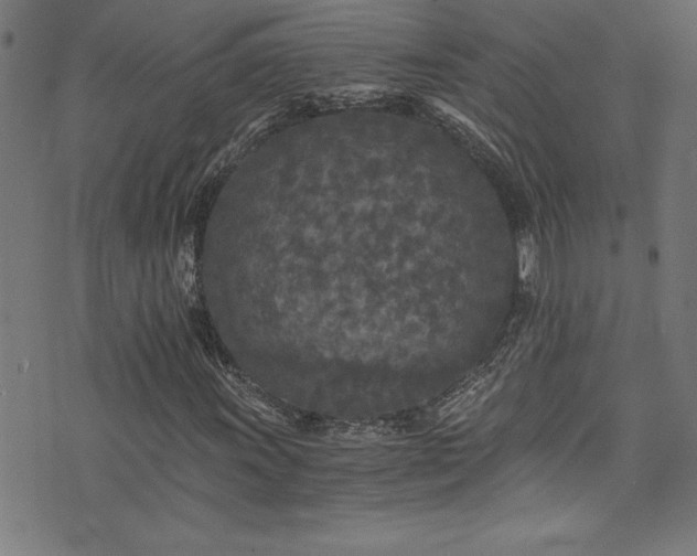 X0000073981011200608211249