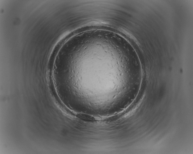 X0000073981029200608211250
