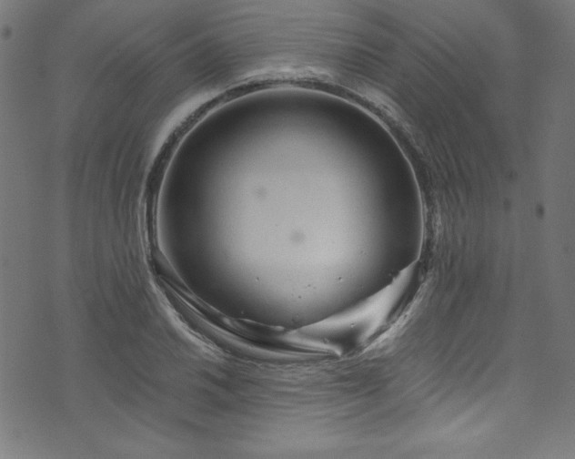 X0000073981030200608211250