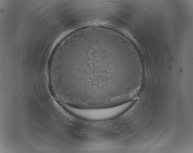 X0000073981032200608211250