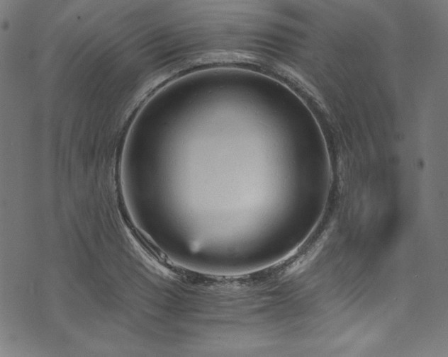 X0000073981033200608211250