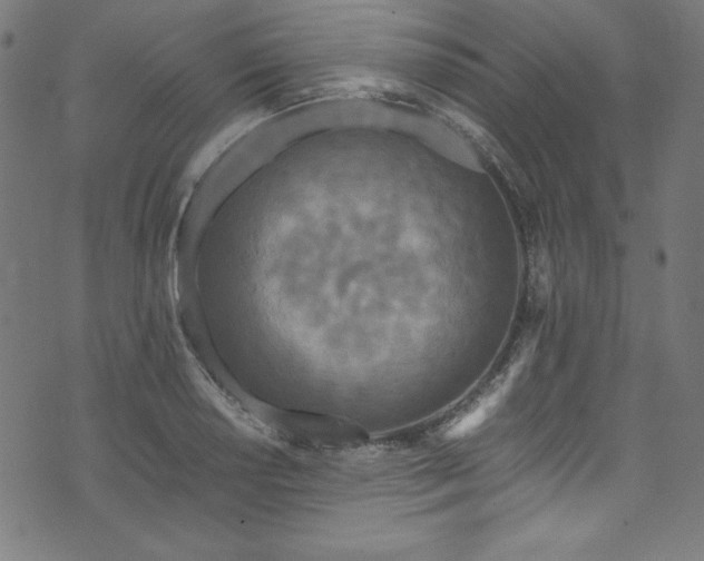 X0000073981034200608211250