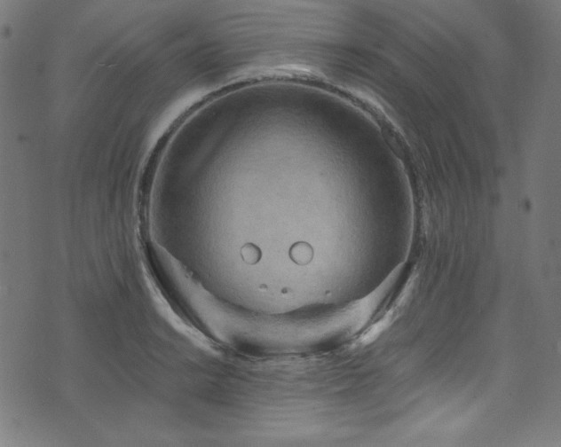 X0000073981038200608211250