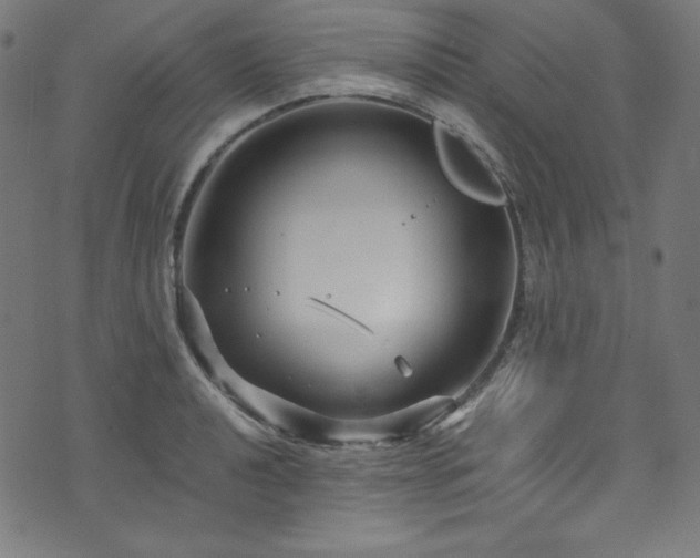 X0000073981040200608211250