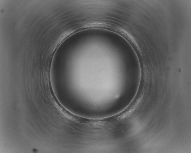 X0000073981041200608211250