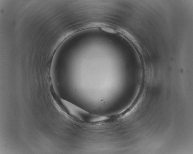 X0000073981049200608211250