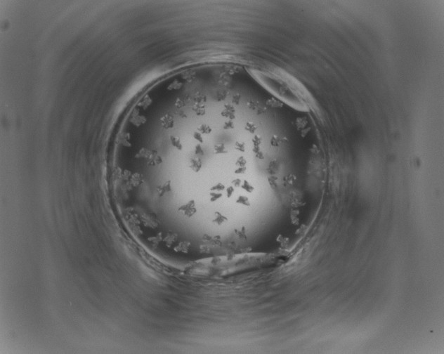 X0000073981051200608211250