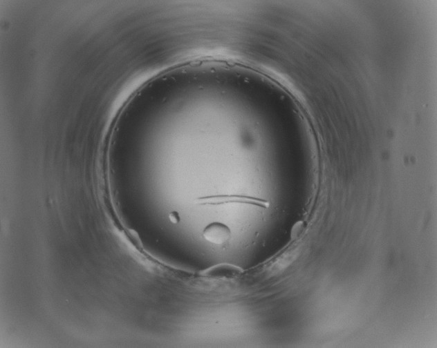 X0000073981056200608211250