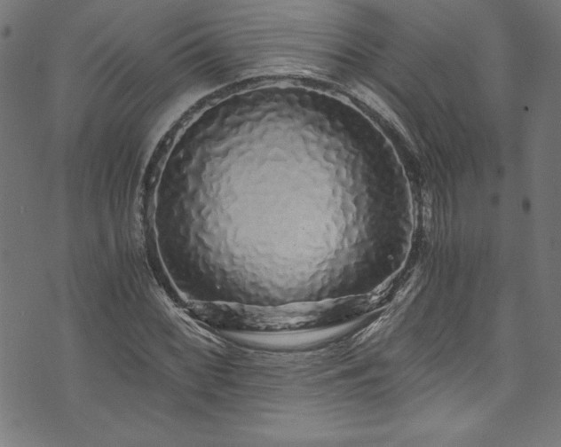 X0000073981068200608211249