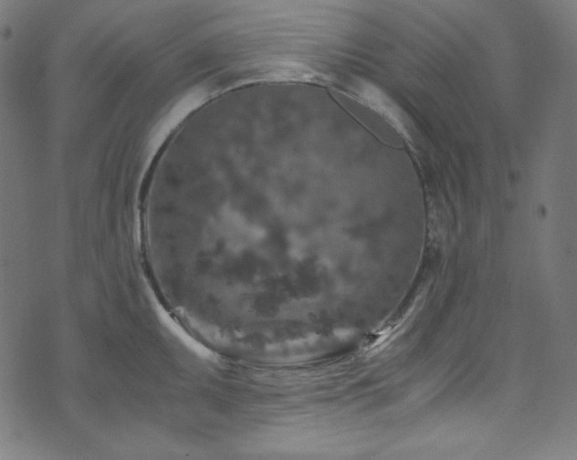 X0000073981095200608211249